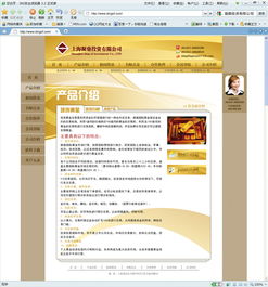 網(wǎng)站設計的關鍵要素 從網(wǎng)頁到整體用戶體驗